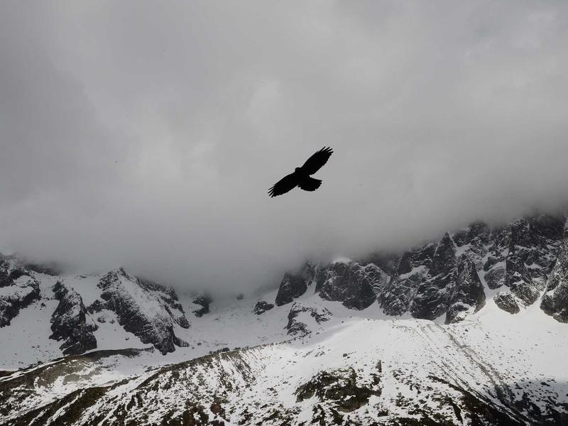 剧本杀DM<br>bcxjjkz.cn 上帝视角旁白